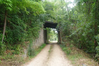 Le GR65 sous le Chteau de Montaut