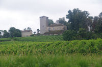 Les vignes a Lavignasse