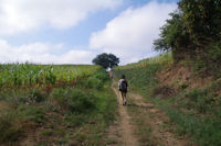 Le chemin est encore long vers Compostelle