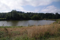 Un etang de l'elevage piscicole du Moulin du Pouy