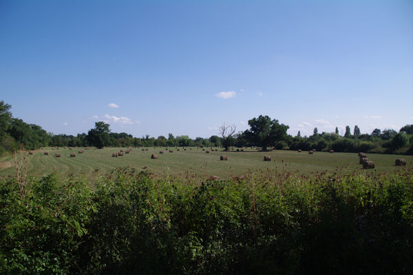 Les champs vers Nogaro