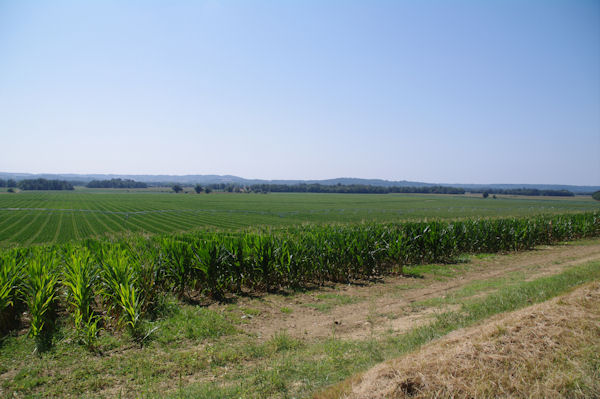 La plaine de l_Adour depuis Manet