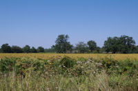 La plaine de l_Adour depuis Bourrouillon