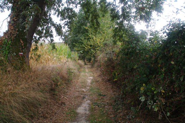 Le GR65 entre Cordonnier et Douelle