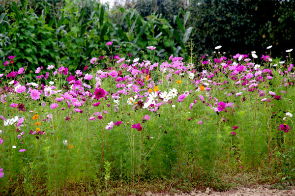 Jolies couleurs  Arnautaune