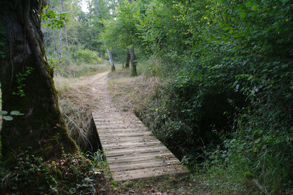 Passage sur le ruissseau du Grand Bas