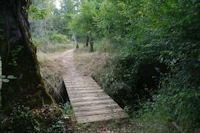 Passage sur le ruissseau du Grand Bas