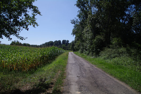 Le GR65 vers Baron