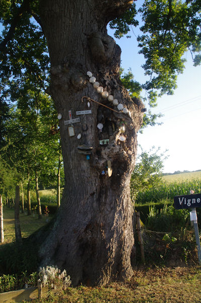 L_arbre des Compostellou vers Mounan