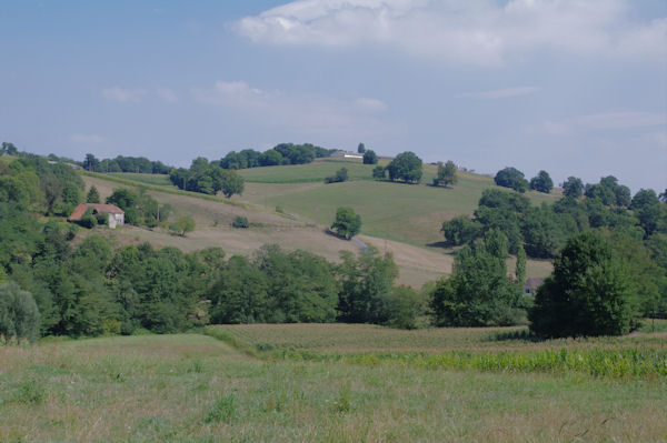 Le vallon du ruisseau de Soularau depuis Larqu