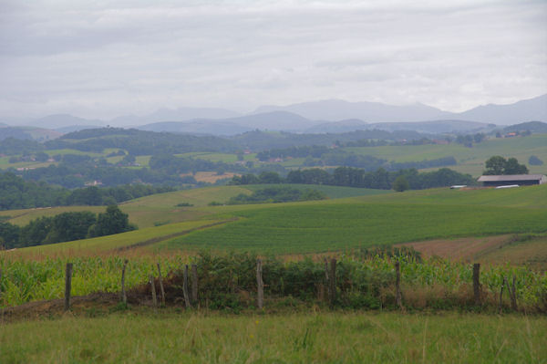 Paysages vers Lacorne, les Pyrnes sont en vue