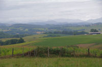 Paysages vers Lacorne, les Pyrenees sont en vue