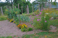 Joli jardin vers Berduque