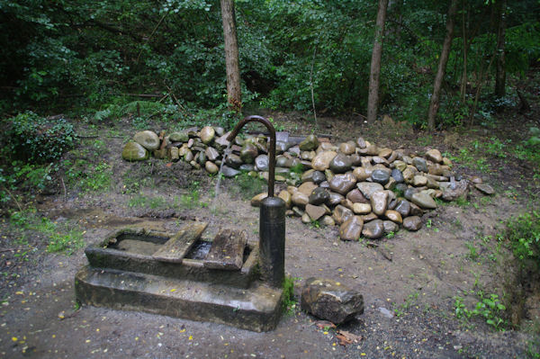 Dans le Bois de Navarrenx