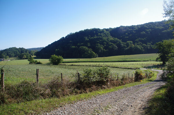 Le GR65 vers Etcheberria