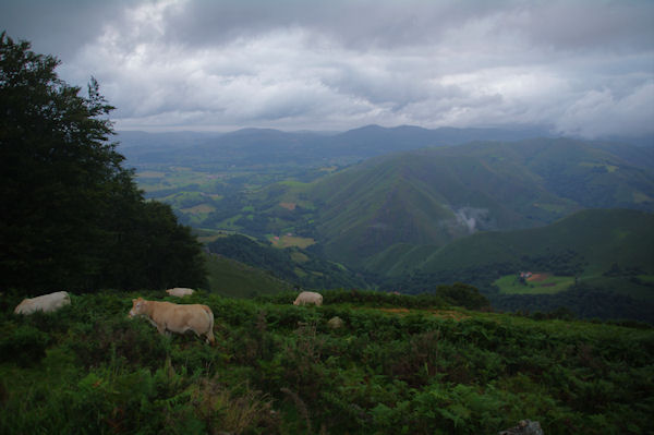 La valle de la Nive depuis Pagalpoa