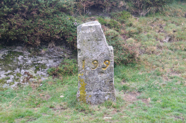 Borne frontire 199 au Col de Bentarte