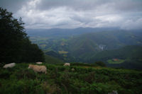 La vallee de la Nive depuis Pagalepoa