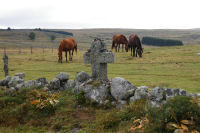 Les Gentianes-Aubrac