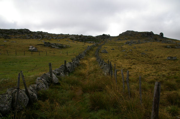 Le chemin du Puech del Pont