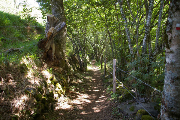 Le chemin descendant sur St Chly d'Aubrac