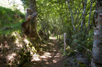 Le chemin descendant sur St Chely d'Aubrac