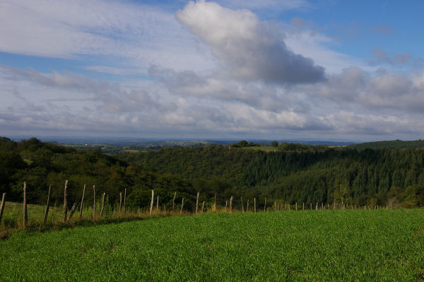 Entre La Bernarderie et La Sansaguerie