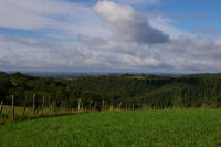 Entre La Bernarderie et La Sansaguerie