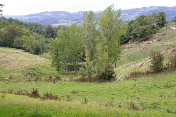 Le laquet de La Boriette