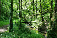 Passage du ruisseau de la Brousse