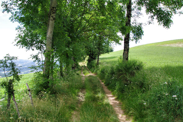 Le GR65 vers Puy de Fraysse