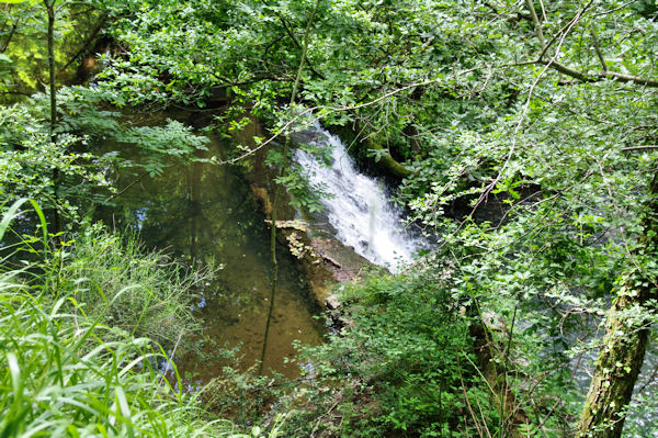 Petite cascade sur le Riou Viou