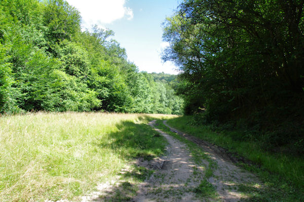 En montant vers Nespoulires sur le GR65B
