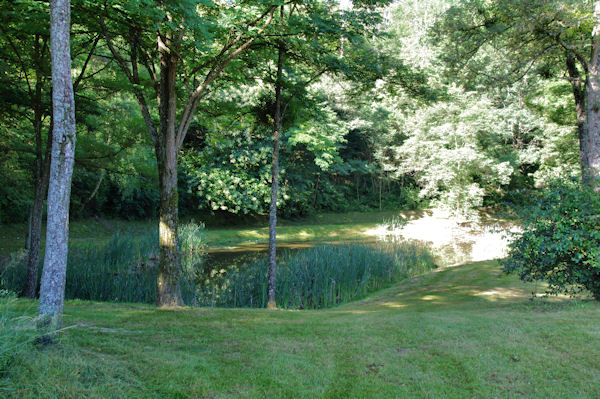 Lacquet dans le Bois Noir