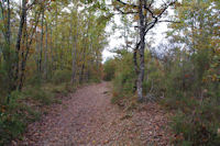 Le chemin vers La Garenne