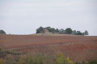 Le tumulus de St Salvy de Coutens