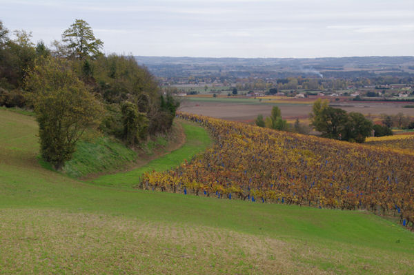 La valle du Tarn depuis Le Bouriou