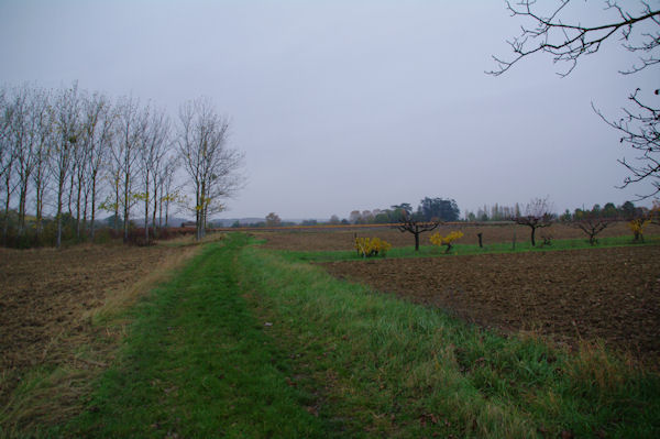 Le chemin vers Guillart