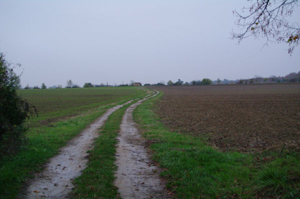 Le chemin vers Les Bordes, on apperoit au loin Notre Dame du Bourg  Rabastens