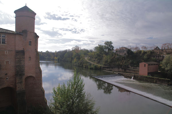 L_abbaye St Michel  Gaillac au bord du Tarn  Gaillac