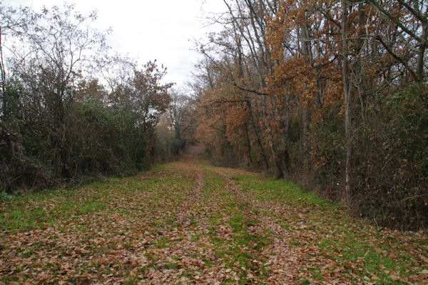 En remontant vers Capdeville