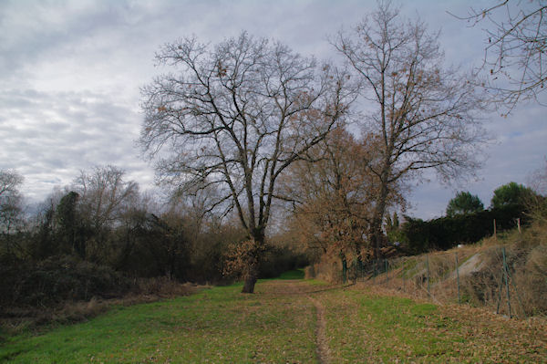 Dans le vallon du ruisseau du Pommier