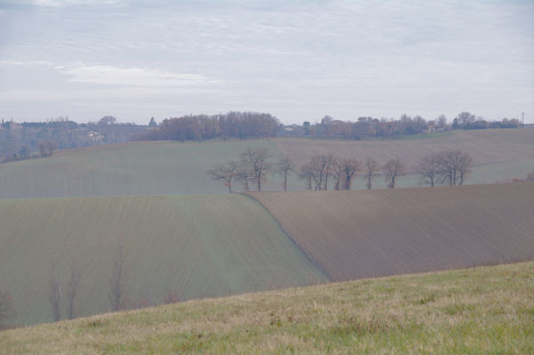 Paysage depuis En Coubillou