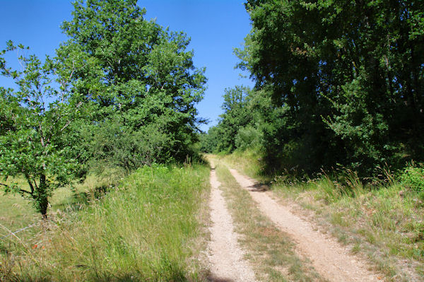 Le GR65B vers Mas de Rousset