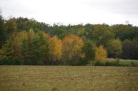 Paysage vers le Bois de l'Hopital