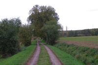 Le chemin apres Coupiac