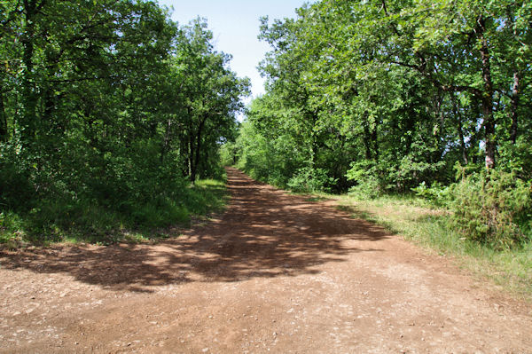 Le GR65B vers Pareyrets