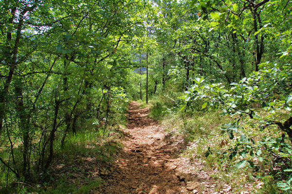 La descente vers Mas de Castani