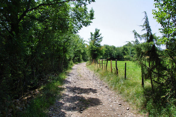 Le GR65B vers La borde