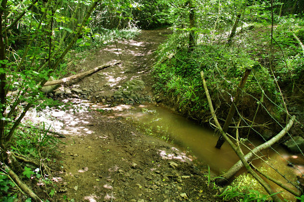 Le GR65B au Buguet